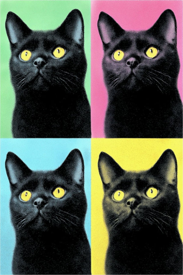 Pop Art Black Cat Matte Poster — Retro Color Block Wall Art